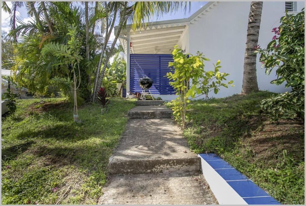 Villa Mango 150 Metres Plage A Pied سانت لوسي المظهر الخارجي الصورة