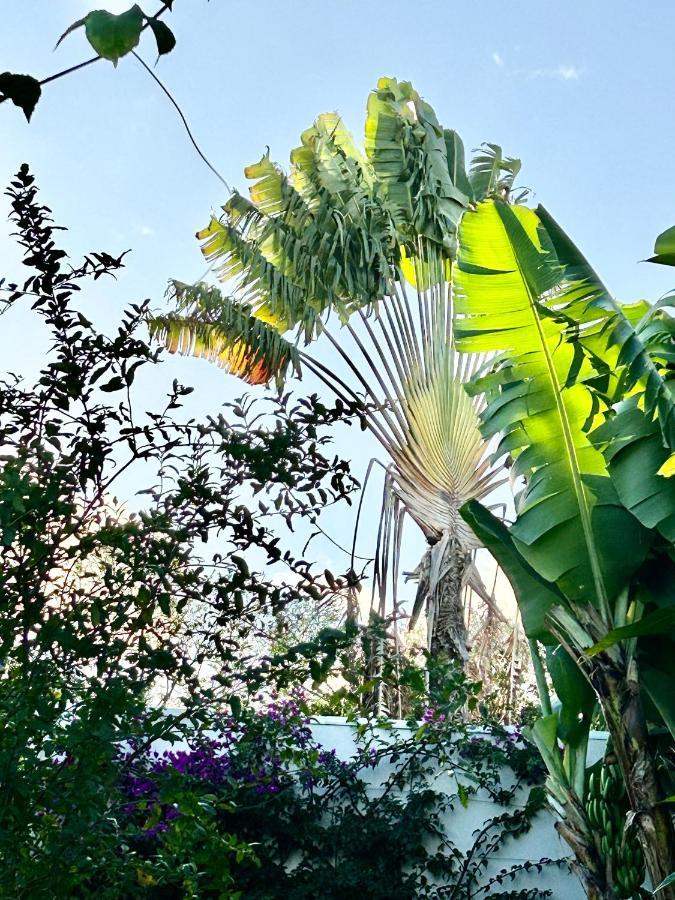 Villa Mango 150 Metres Plage A Pied سانت لوسي المظهر الخارجي الصورة